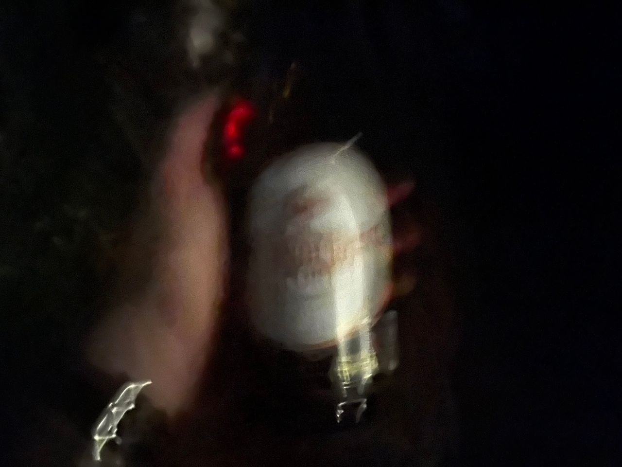 619